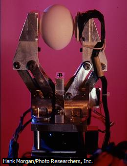 Hank Morgan/Photo Researchers, Inc.